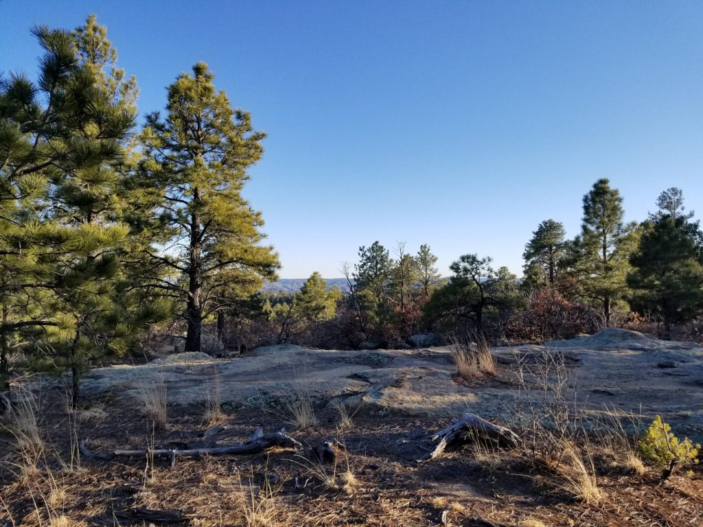 milehighruralland.com_APN13454500