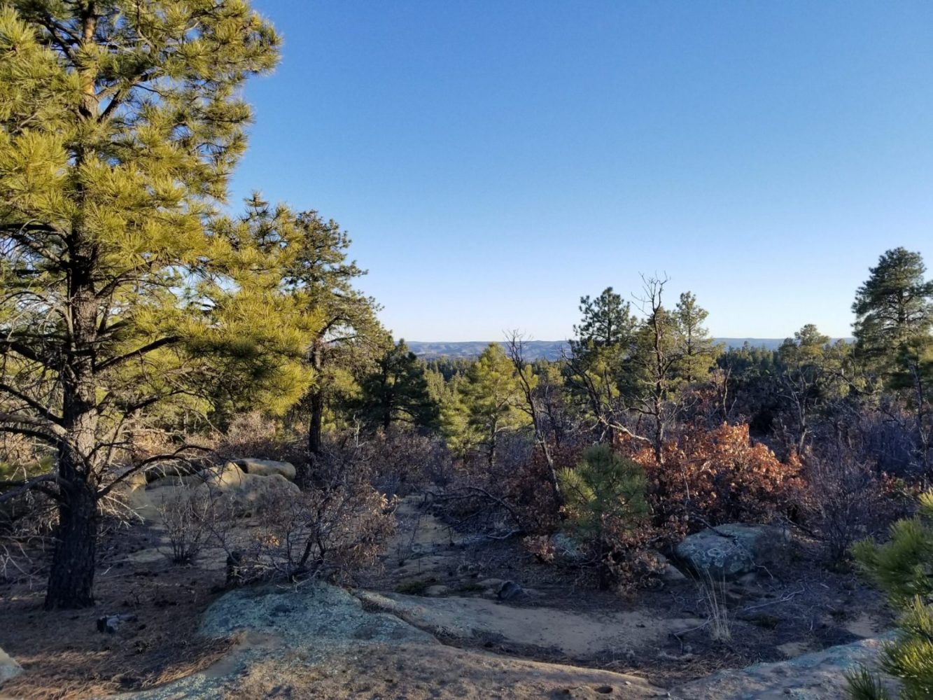 milehighruralland.com_APN10120000