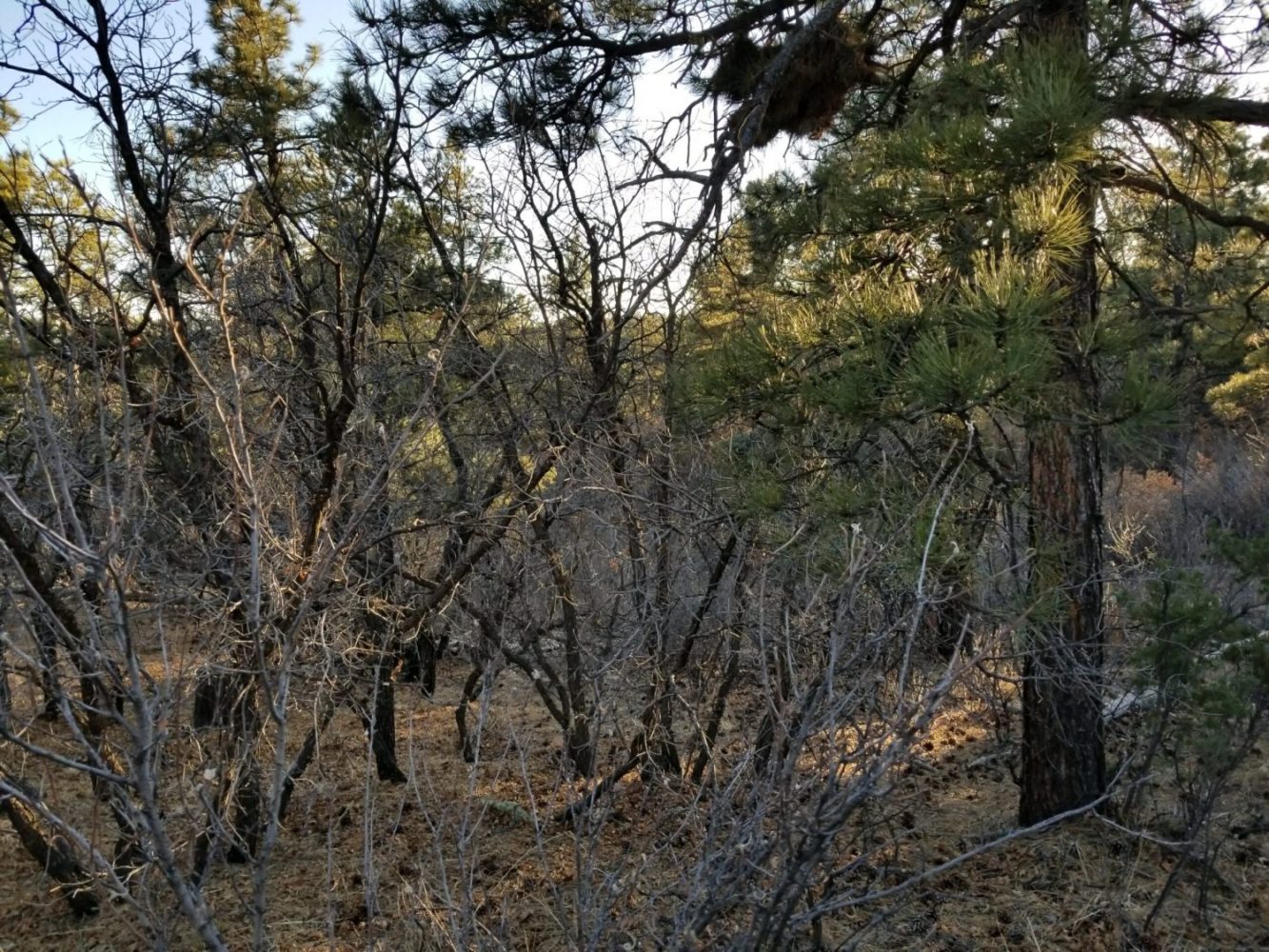 milehighruralland.com_APN10120000