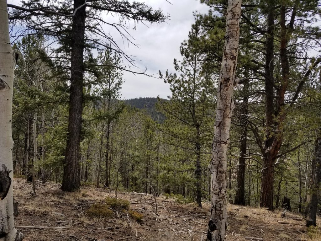 milehighruralland.com_APNR0010051