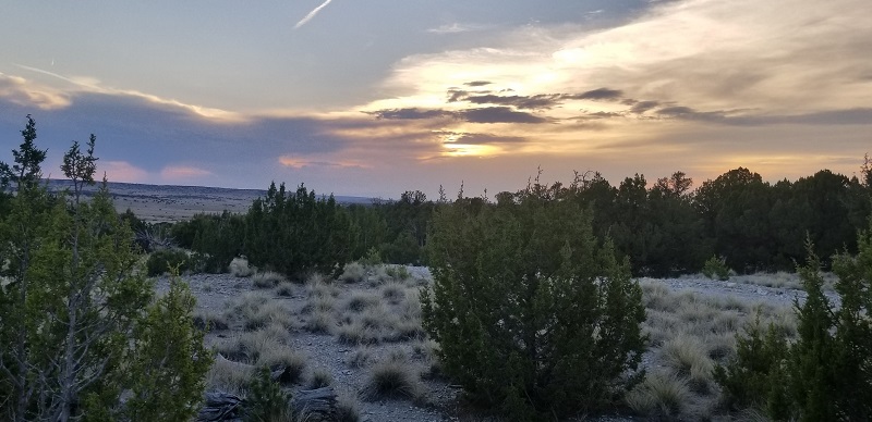 milehighruralland.com_APN10279200
