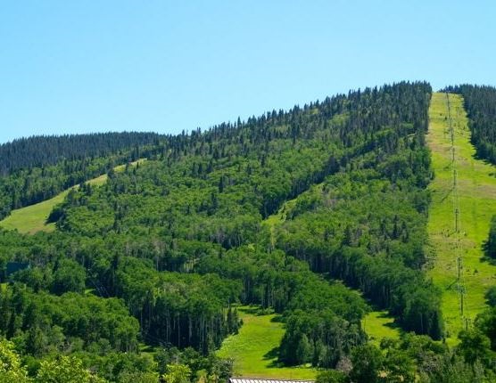 milehighruralland.com_APN122437 (Lot 12)