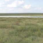 milehighruralland.com_APN4151022264067