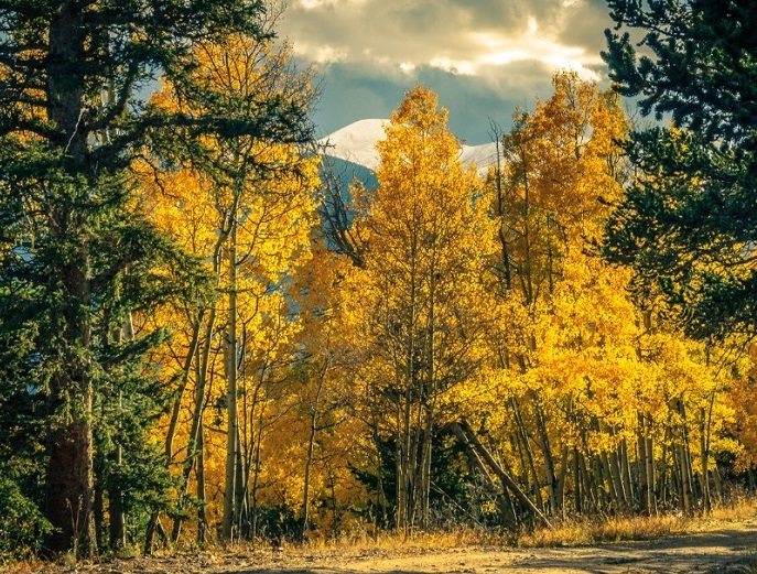 milehighruralland.com_APN122438 (LOT 13)