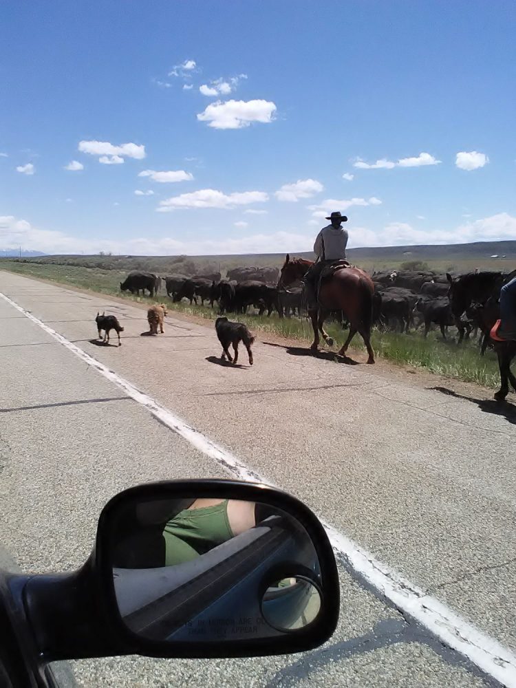 milehighruralland.com