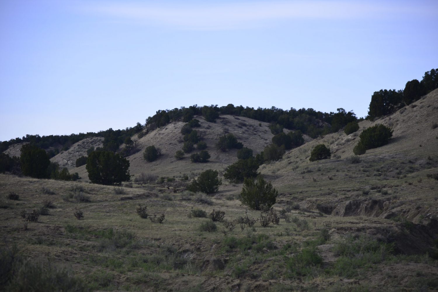 milehighruralland.com_APN10772600