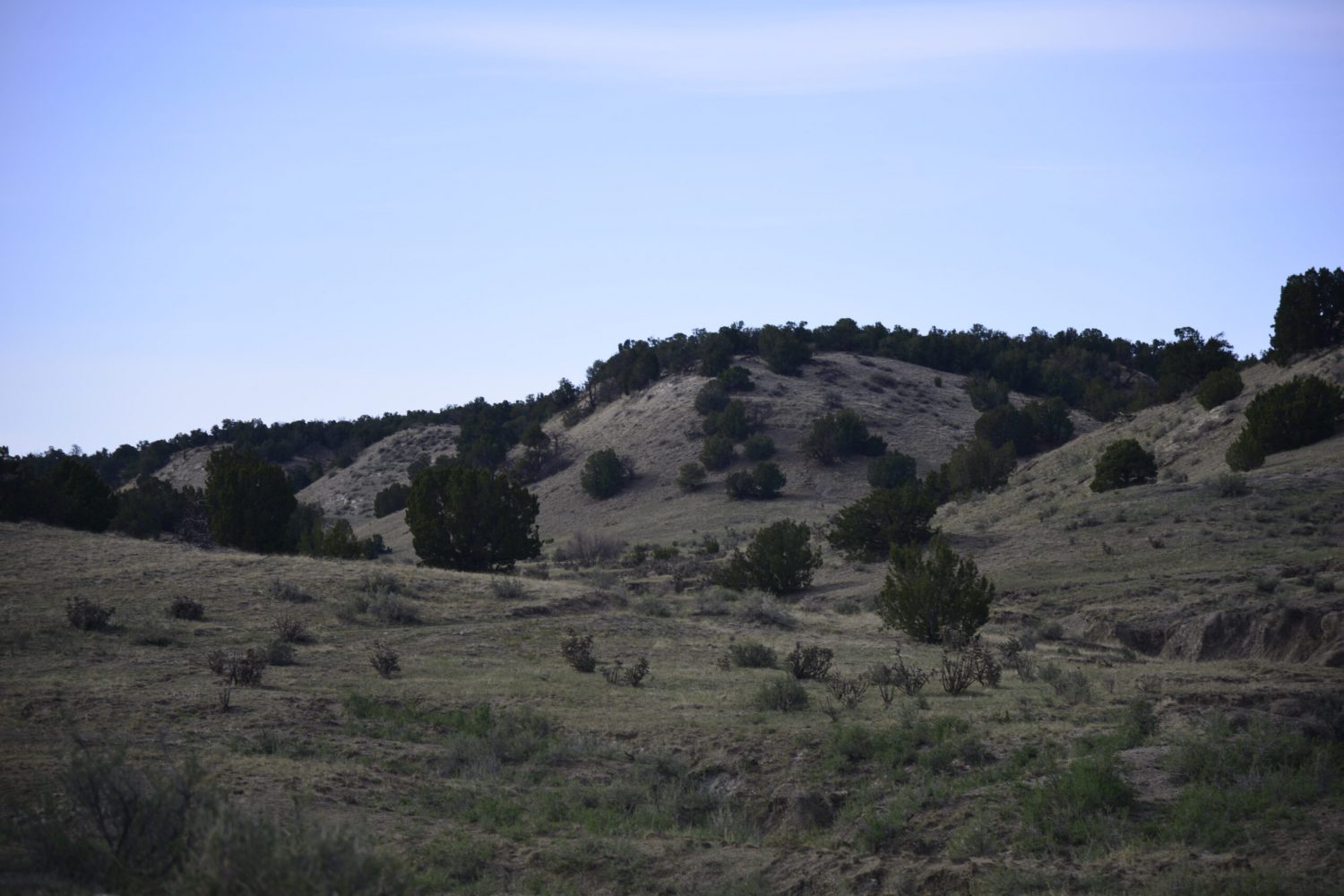 milehighruralland.com_APN11203000