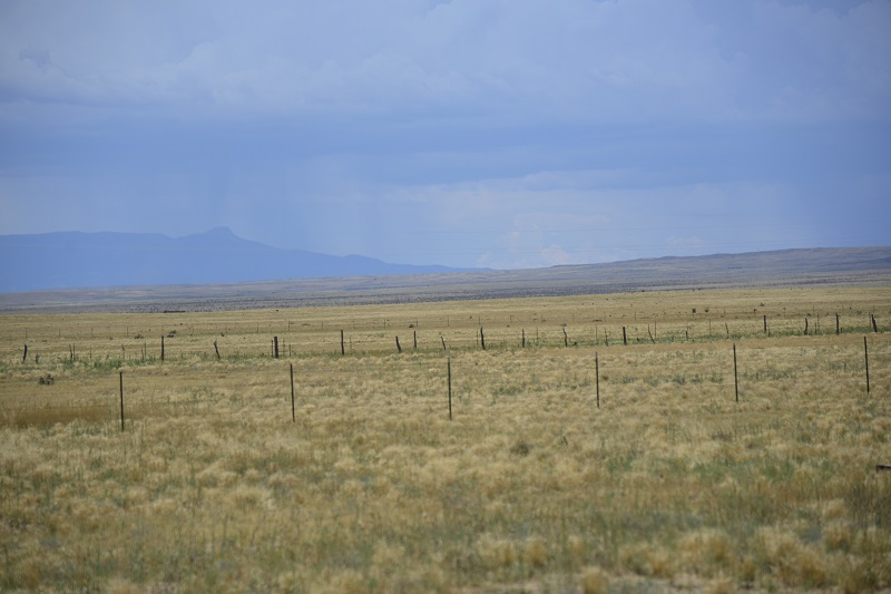 Las Animas_APN12999800