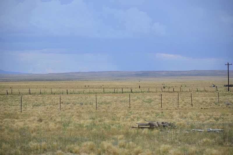 Las Animas_APN12999800