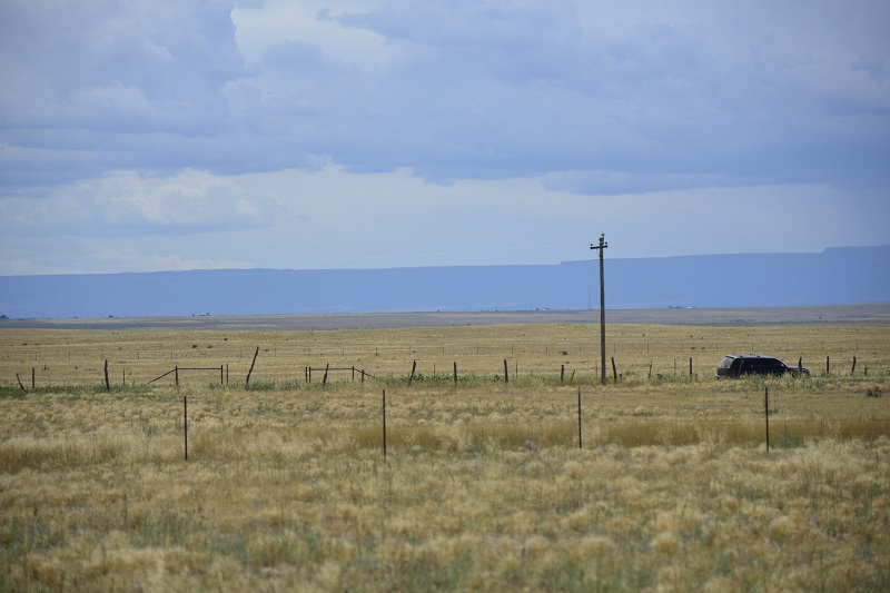 Las Animas_APN12999800