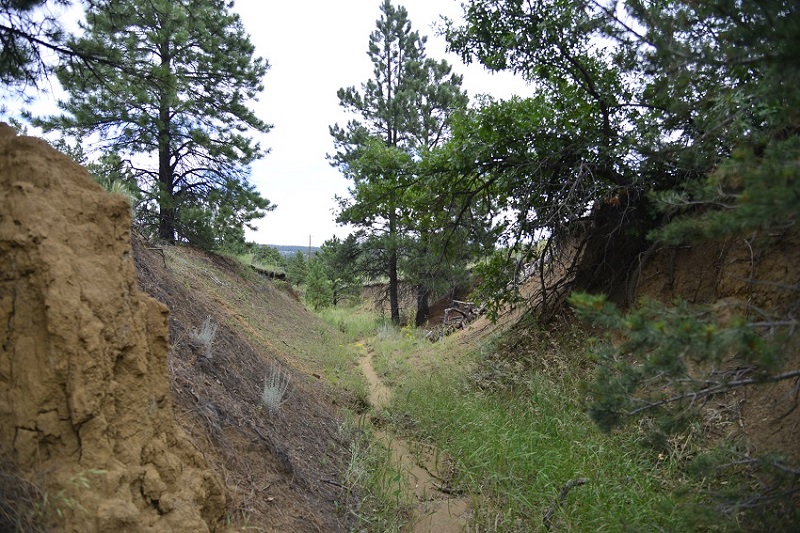 milehighruralland.com_APN12436800