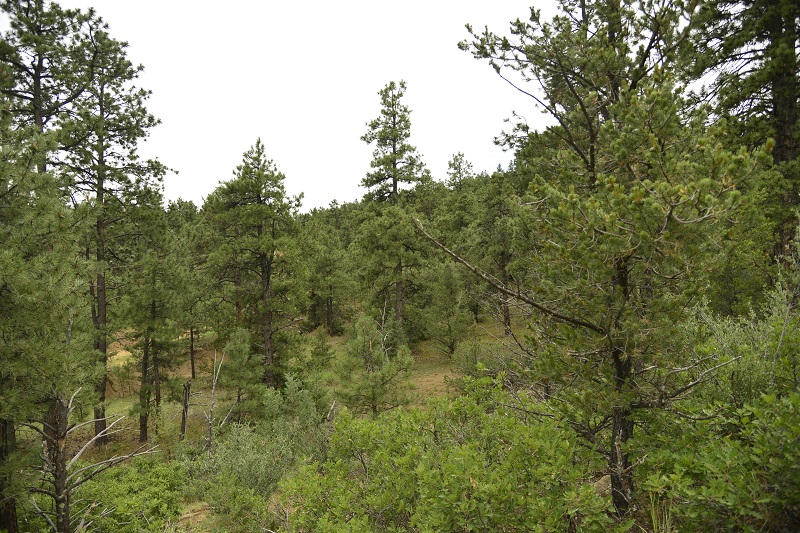 milehighruralland.com_APN12436800