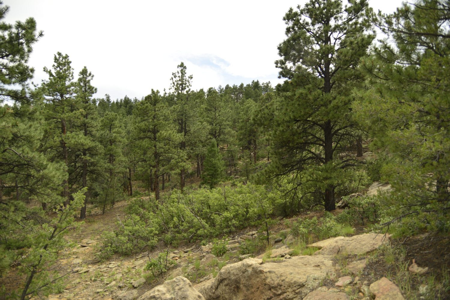 milehighruralland.com_APN12436800