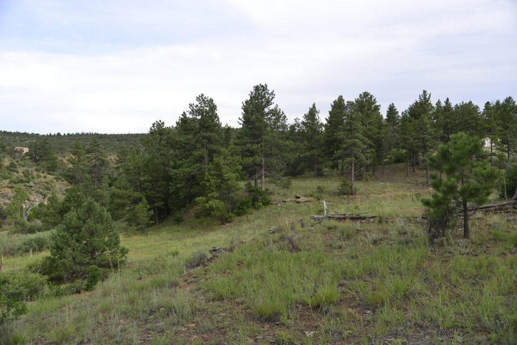 milehighruralland.com_APN10548100
