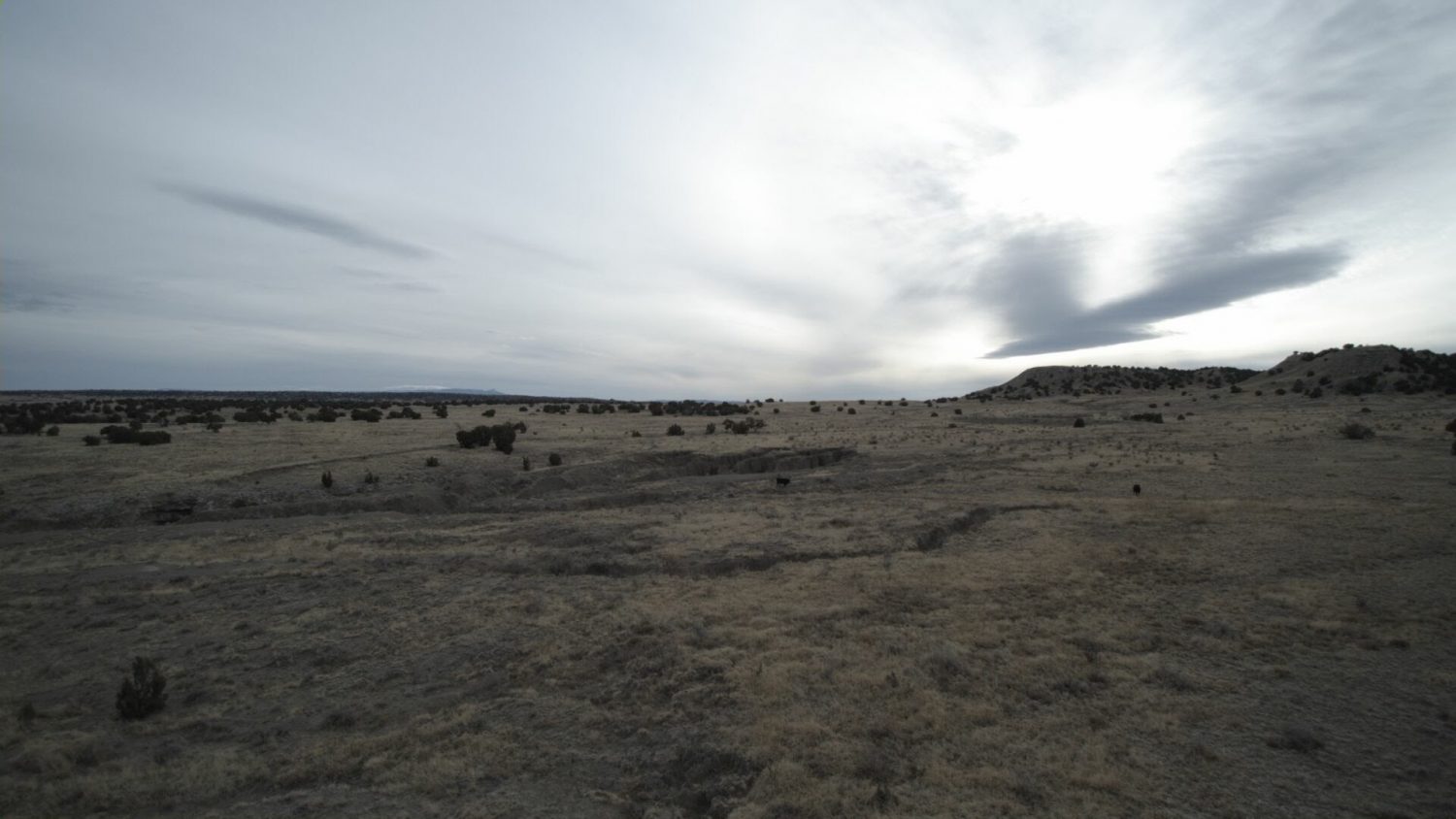 milehighruralland.com_APN11203000