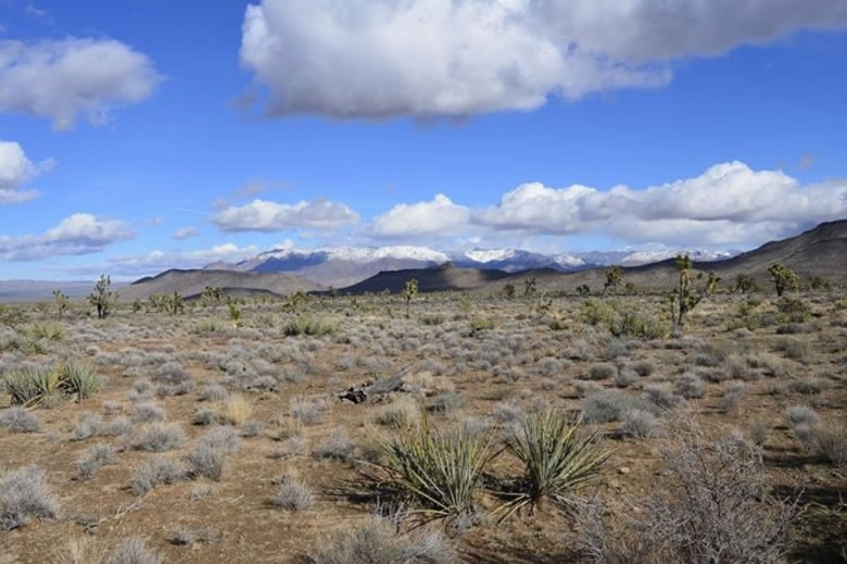 milehighruralland.com_APN340-04-335