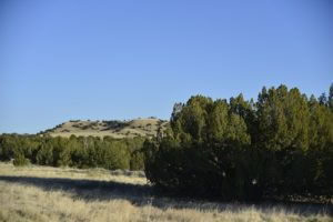 milehighruralland.com_APN13607310