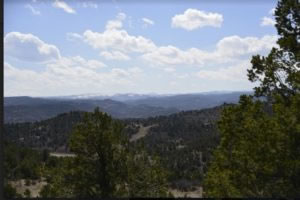 milehighruralland.com_APN10231000