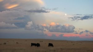 milehighruralland.com_APN4151022264067