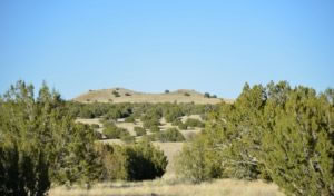 milehighruralland.com_APN12035300