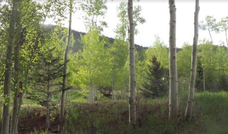 milehighruralland.com_Cuchara Mountain Park