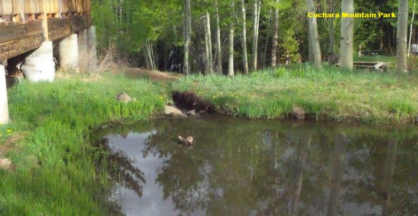 milehighruralland.com_Cuchara Mountain Park