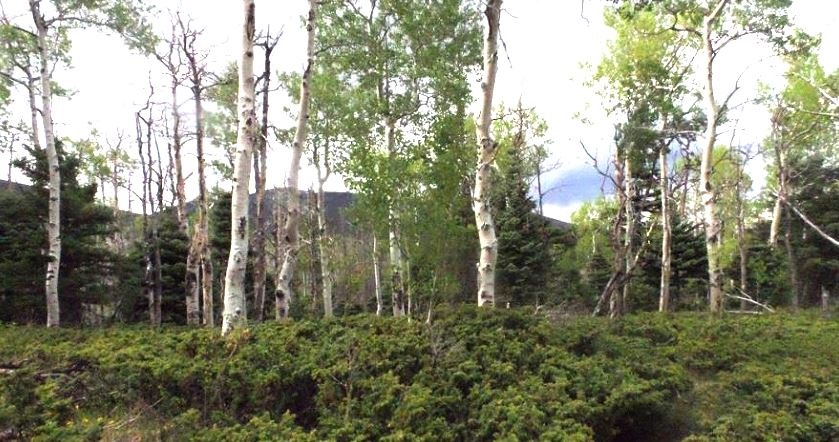 milehighruralland.com_Cuchara Mountain Park Lot For Sale