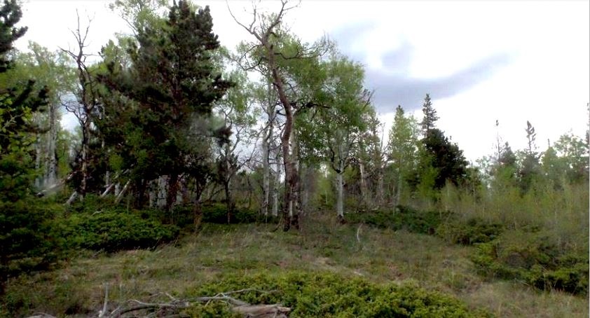 milehighruralland.com_APN122447