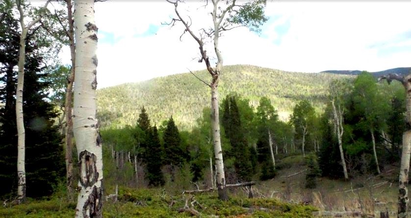 milehighruralland.com_Cuchara Mountain Park Lot For Sale