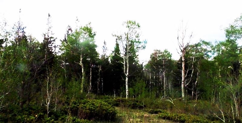 milehighruralland.com_APN122447