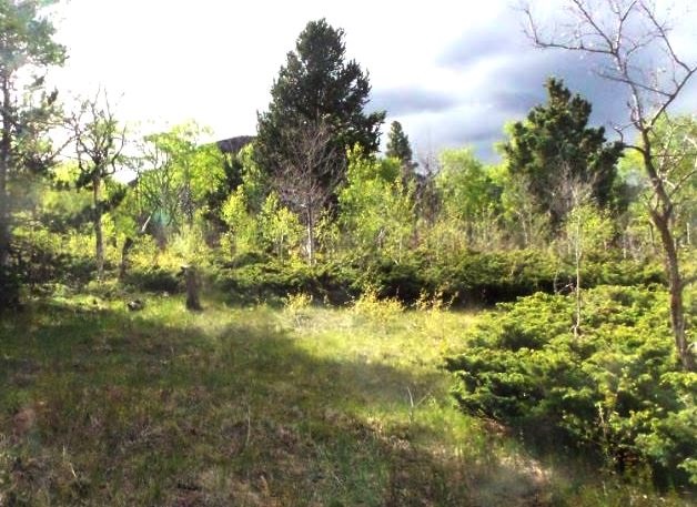 milehighruralland.com_Cuchara Mountain Park Lot For Sale