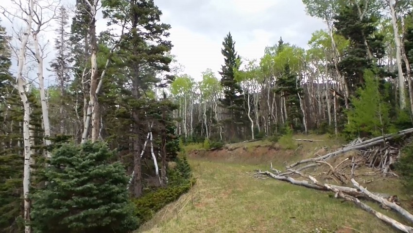 milehighruralland.com_APN122447