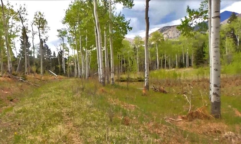 milehighruralland.com_Cuchara Mountain Park Lot For Sale