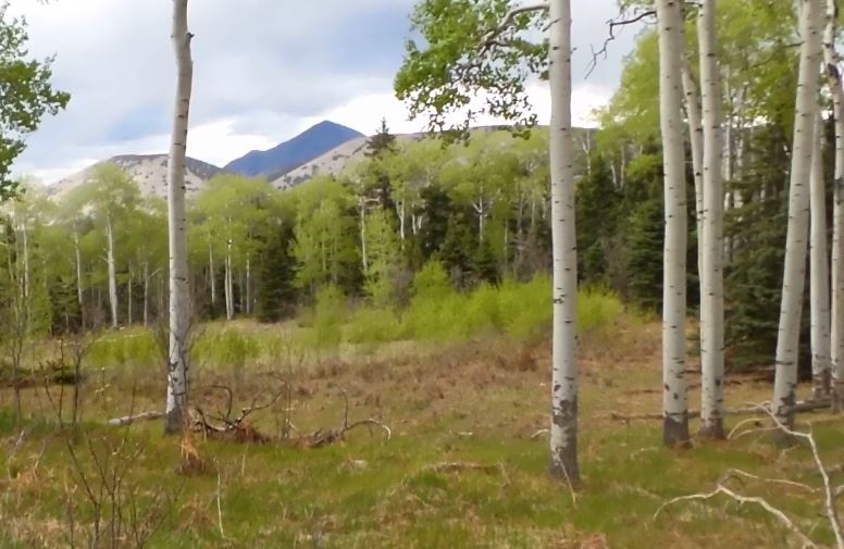 milehighruralland.com_Cuchara Mountain Park Lot For Sale