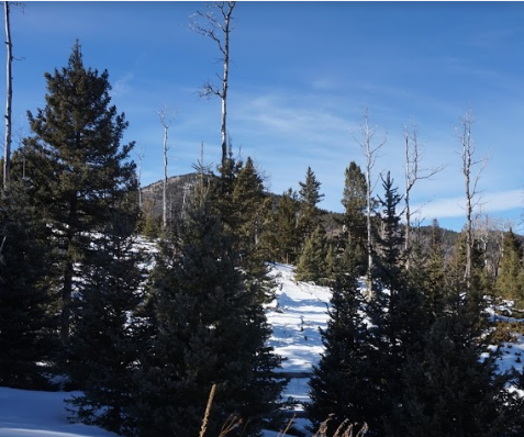 milehighruralland.com_APN122437 (Lot 12)