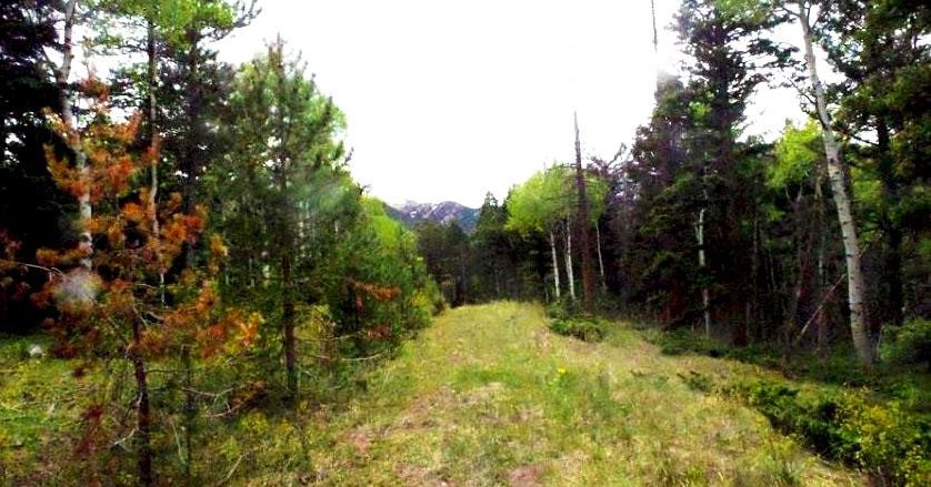Lot 16_milehighruralland.com