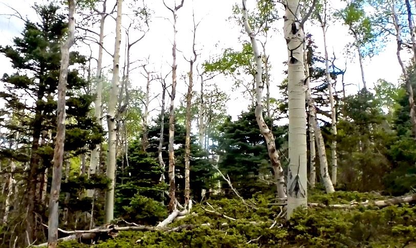 milehighruralland.com