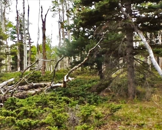 milehighruralland.com