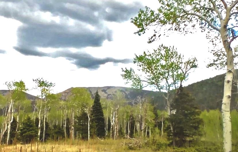 milehighruralland.com_Cuchara Mountain Park Lot For Sale