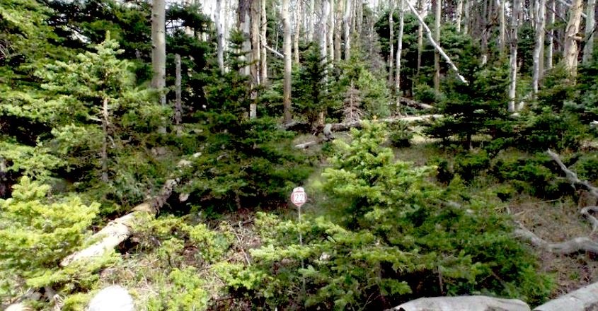 milehighruralland.com_APN122447