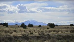 milehighruralland.com_ APN12600580