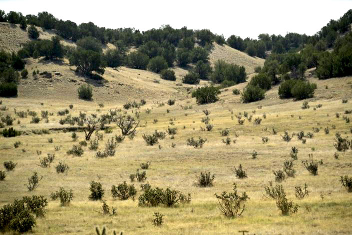 milehighruralland.com_APN13917200